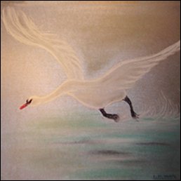 Schwan (Pastellkreide)