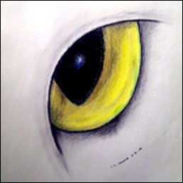 Tori's Auge (Pastellkreide, 2012)